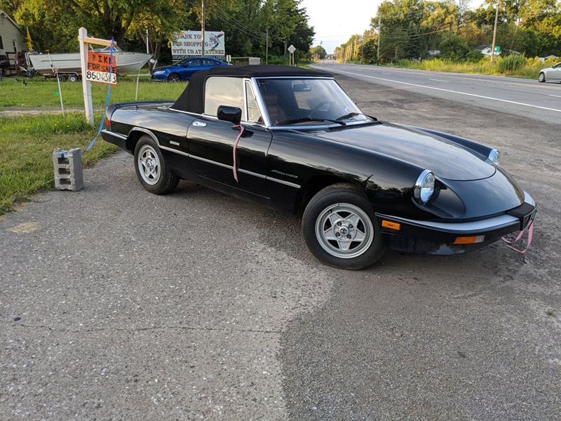 Illustration for article titled 1989 Alfa Romeo Spider Veloce SpottingĀ